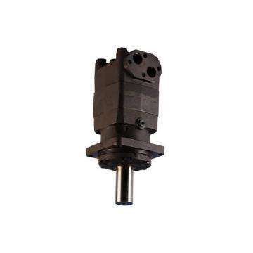 Saruer Dan-foss OMT160 OMT200 OMT250 OMT400 OMT500 Motors orbitals hidràulics OMT315 151B3003